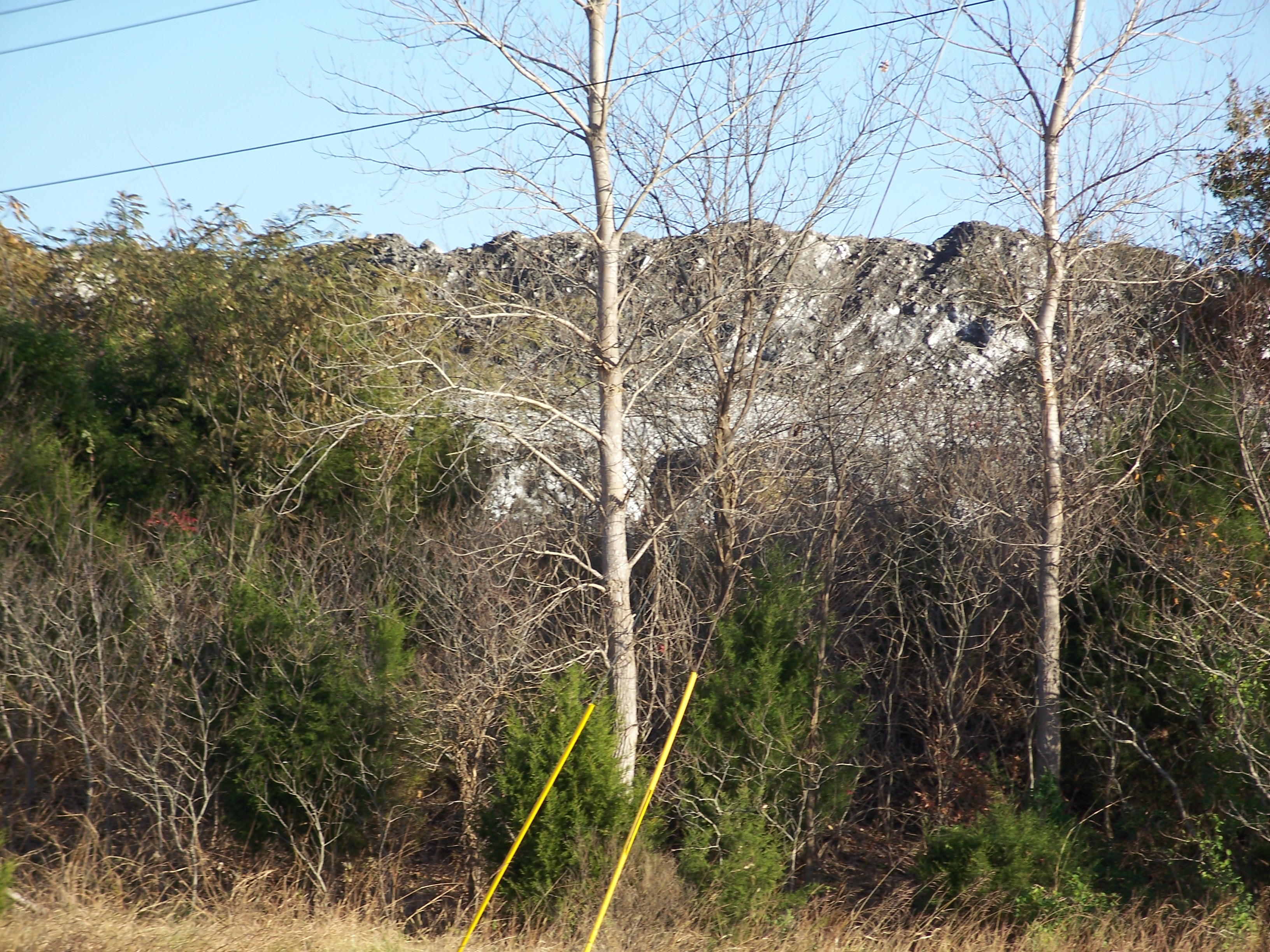 Coal